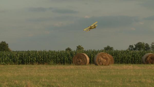 Fotó: Kovács Dénes)