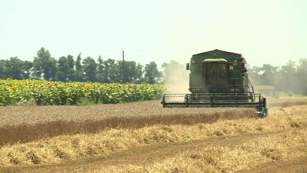 Illusztráció: behir.hu