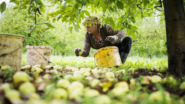 MTI Fotó: Balázs Attila