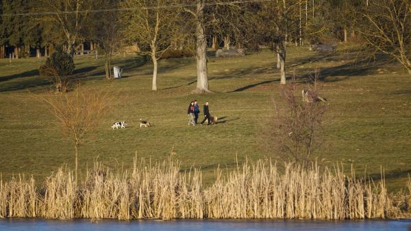 Kirándulók a napsütéses időben.
MTI Fotó: Varga György