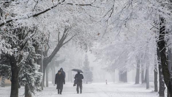 Nagykanizsa, 2016. december 6.
Zúzmara borítja a fákat Nagykanizsán, a Kaposvári úton 2016. december 6-án. 
MTI Fotó: Varga György