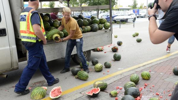 Budapest, 2016. július 27.
Egy termelõ dinnyét szór a Tesco budaörsi hipermarketje elé az áruházlánc árpolitikája ellen tartott demonstráción 2016. július 27-én.
MTI Fotó: Soós Lajos