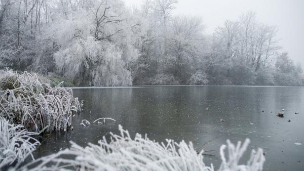 Illusztráció Fotó: MTI Fotó: Sóki Tamás