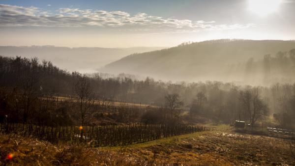 MTI fotó: Varga György