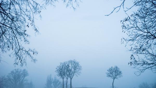 Budapest, 2017. február 3.
Reggeli köd a Városligetben 2017. február 3-án.
MTI Fotó: Balogh Zoltán