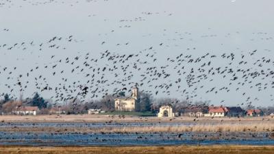 Fotó: Boldog Gusztáv