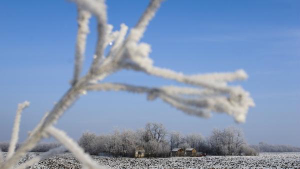 MTI Fotó: Czeglédi Zsolt