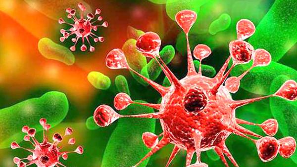 vírusok vs baktériumok