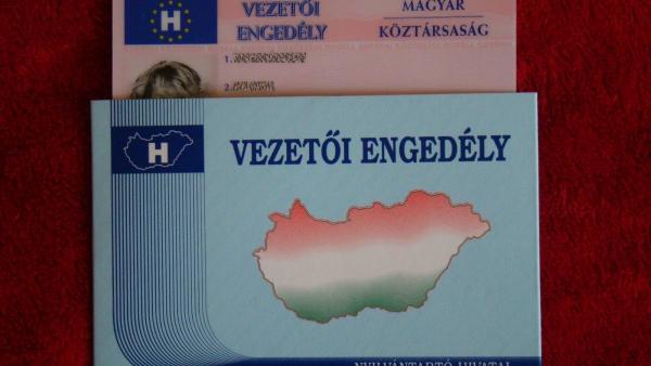 Vezetői engedély - illusztráció