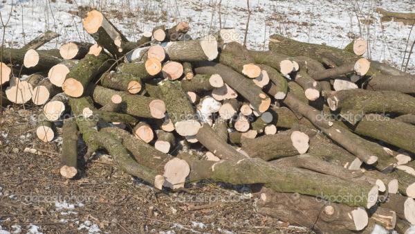 Cut Lumber for Ecologically Sustainable Winter Heating