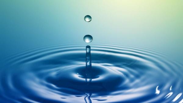 A kép illusztráció