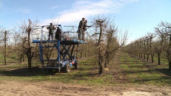 Fotó:Kugyelka Attila/Ujházi György