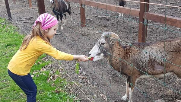 Fotó: Urbancsok Éva