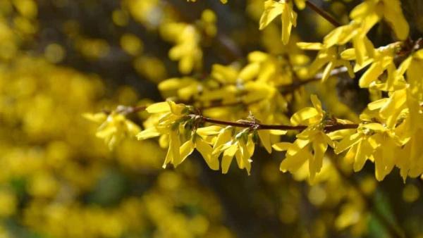 A héten ismét melegszik az idő (fotó: szepzold.hu)