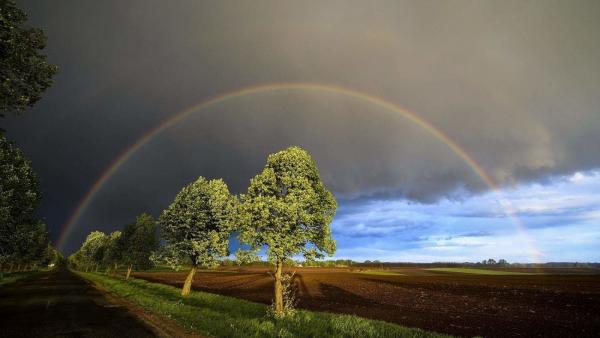 MTI fotó: Czeglédi Zsolt