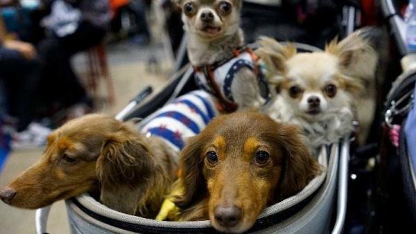 (MTI/EPA/Franck Robichon)