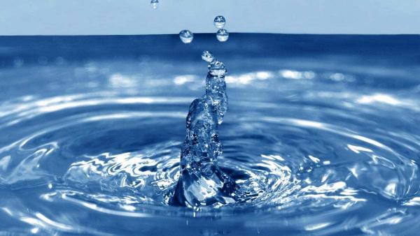 Fotó: alfoldregiomagazin.hu