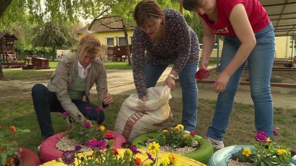 Virág és körtefa ültetés a jaminai Tündérkert oviban