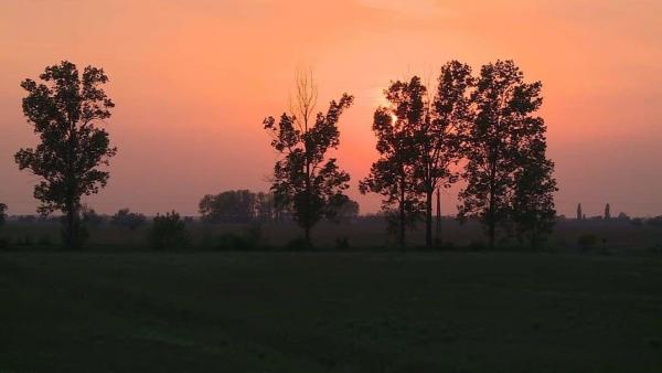 A végéhez közeledik az idei túzokdürgés a dévaványai pusztákon. Fotó: Kugyelka Attila