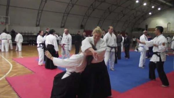 (Fotó: nipponseibukanhungary.com)