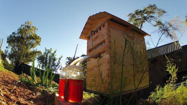 fotó: honeyflow.com