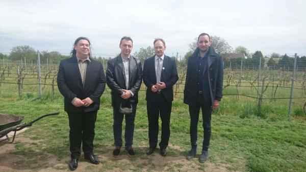 Hajdúböszörményiek látogattak a Csabagyöngye szőlőültetvényre