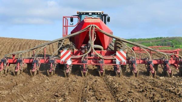 Fotó: agroinform.hu