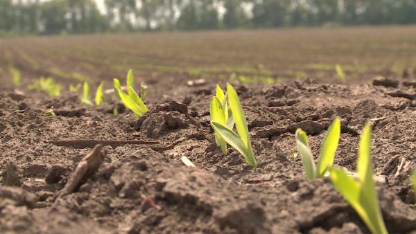 fotó: Kovács Dénes