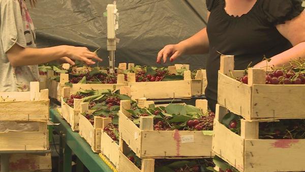  Fotó: Ujházi György