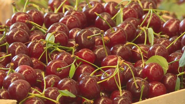 Fotó: Ujházi György