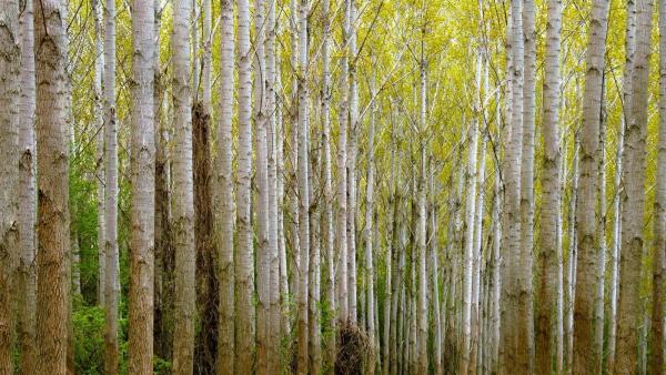 fotó: tortenetekkepekkel.blogspot.com