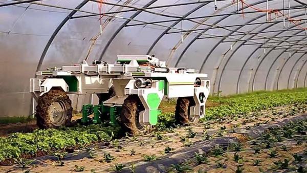 Egy monstrumnak tűnik, de redkívül precíz munkát végez – fotó: Naïo Technologies