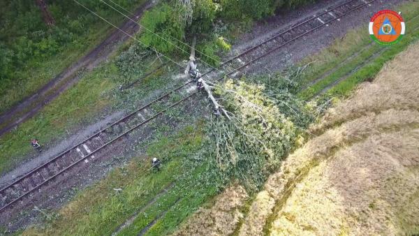 Kidőlt fa a síneken. Forrás: Körös Mentőcsoport