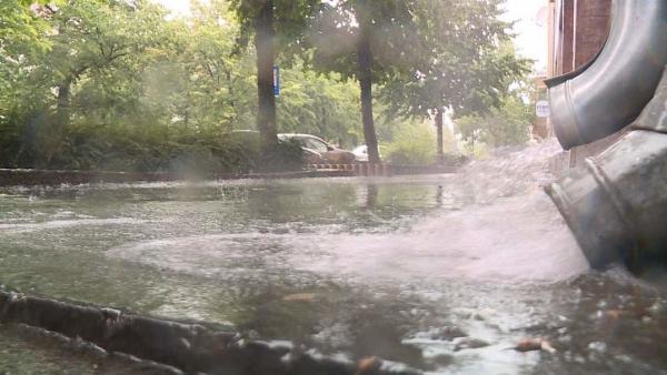 A kép illusztráció