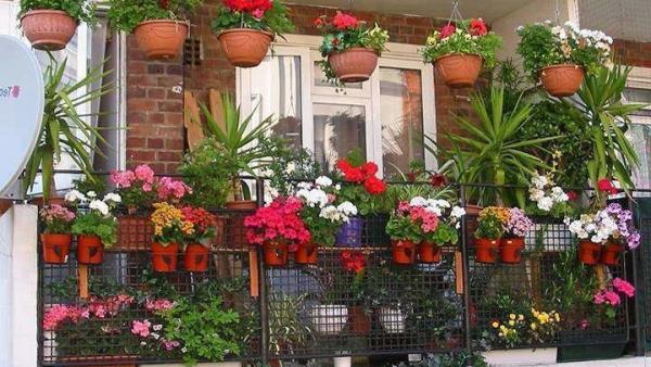 Fotó: lajk.startlap.hu