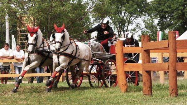 (Fotó: lazarlovaspark.hu)