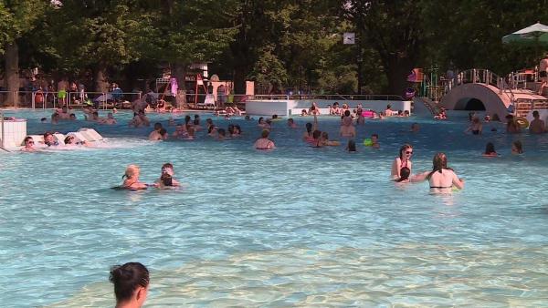 (Fotó: Kovács Dénes)