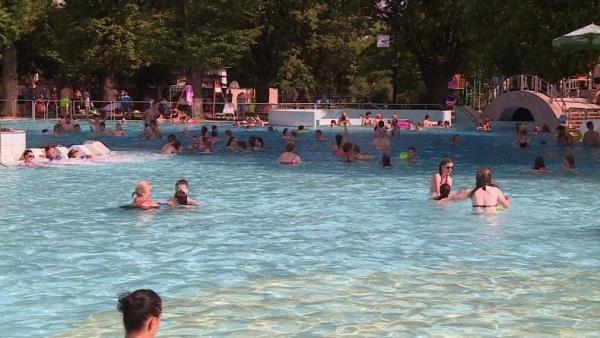 Illusztráció: behir.hu/ Kovács Dénes