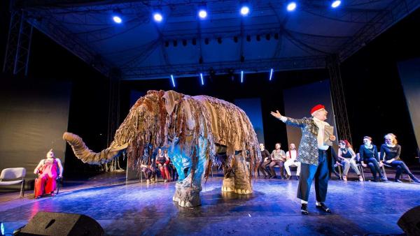 Bohócgála. Fotó:Babák Zoltán