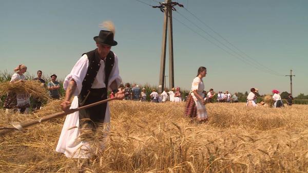 Aratónap Szarvason (Fotó: Kovács Dénes)