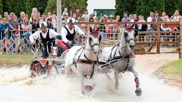 Fotó: Vida-Szűcs Istán