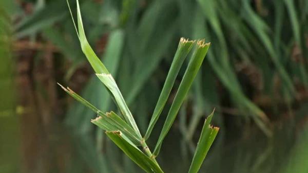 Fotó: Tószögi György
