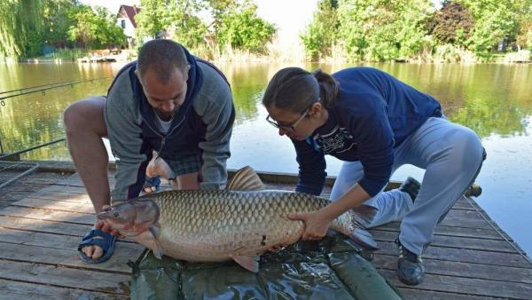 Fotó: Lustyik Gábor