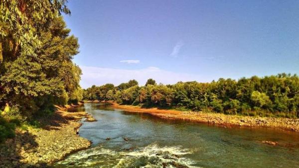 A Hármas-Körös alsóvize idén júliusban közvetlenül a Békésszentandrási duzzasztó alatt – Fotó: Lustyik Gábor