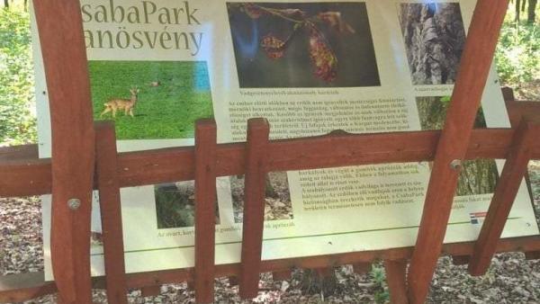 fotó: Kocziha Attila