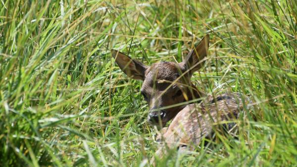 fotó: Urbancsok Éva