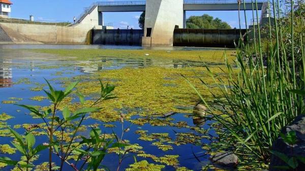 A békési duzzasztó 2007 nyarán – Fotó: Tószögi György