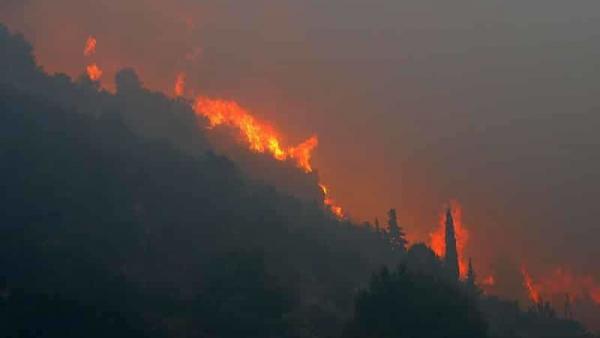 Fotó: Vladimir Dugandzic / CROPIX