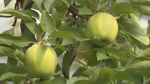 fotó: Ujházi György