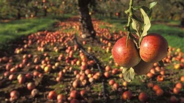 Fotó: agrarvilag.hu